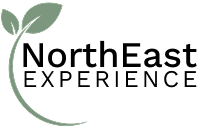 NorthEast Experience logo