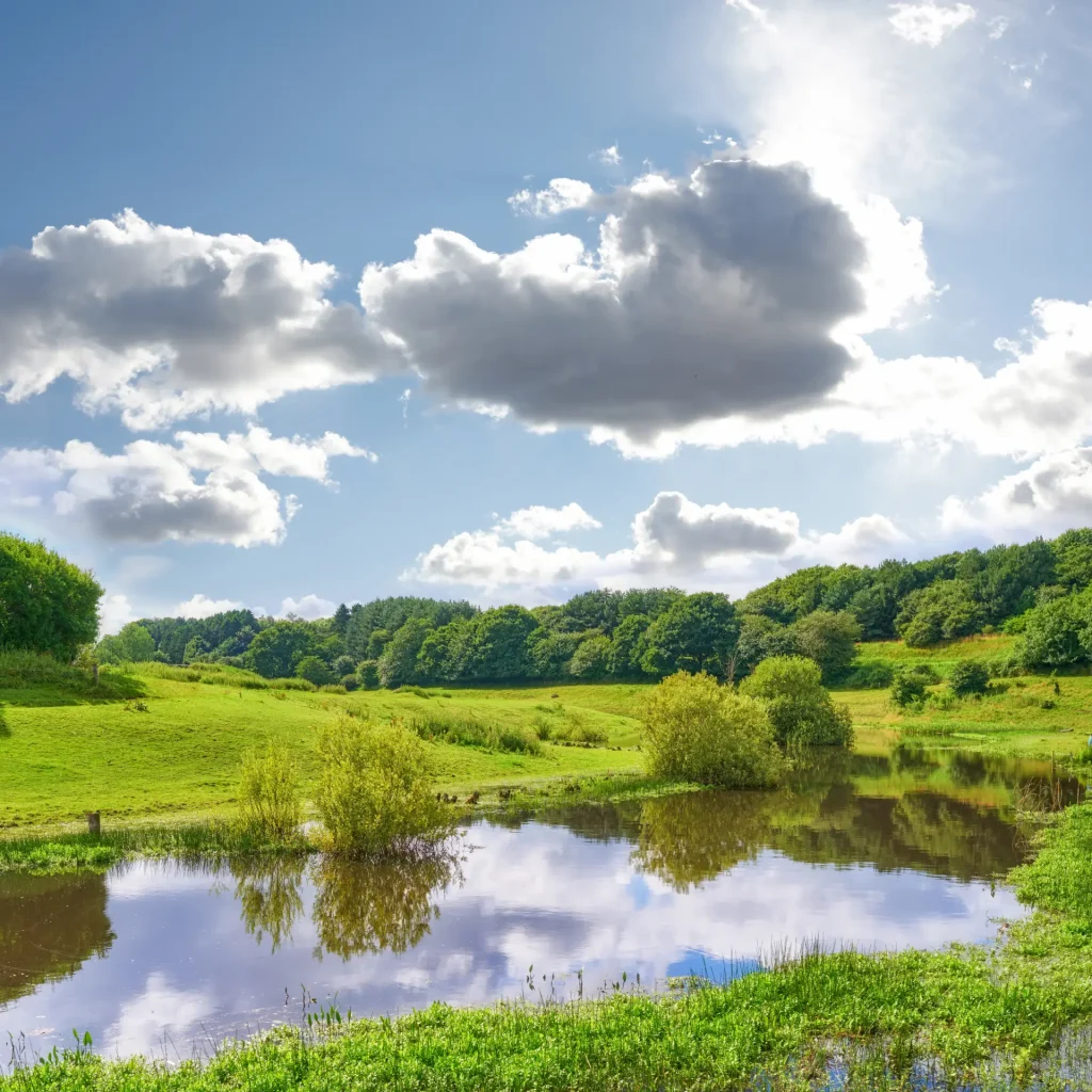 image of a small pond in the open country